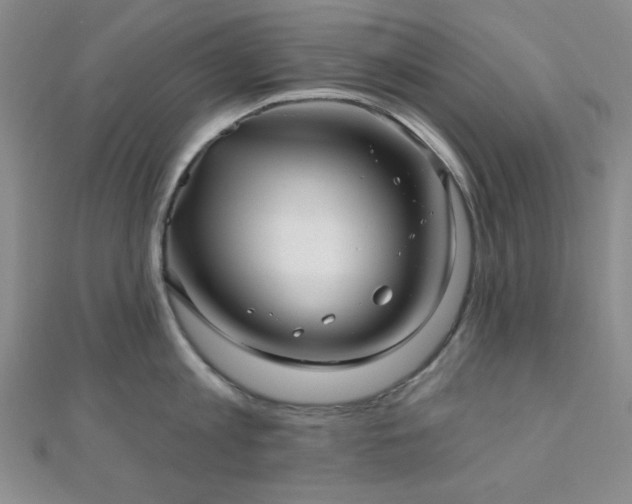 X0000111000813200906191550