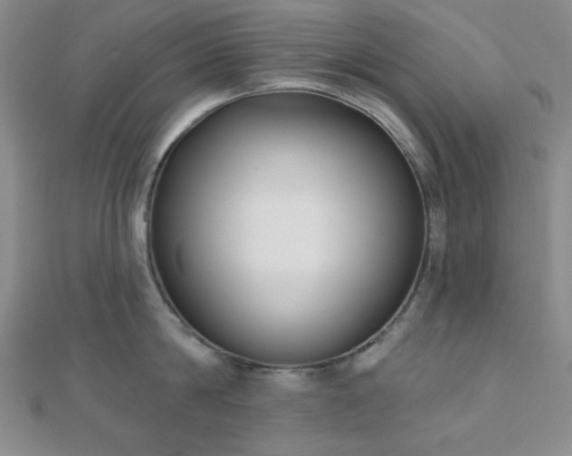 X0000111000814200906191549