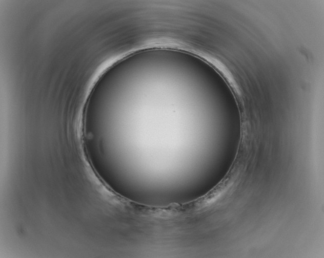 X0000111000815200906191549