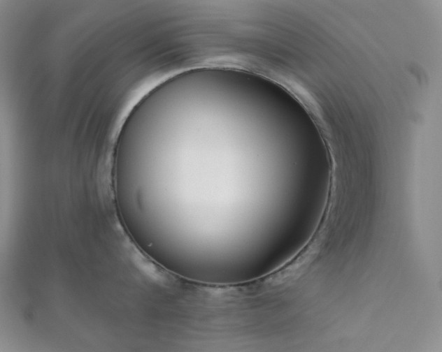 X0000111000816200906191549