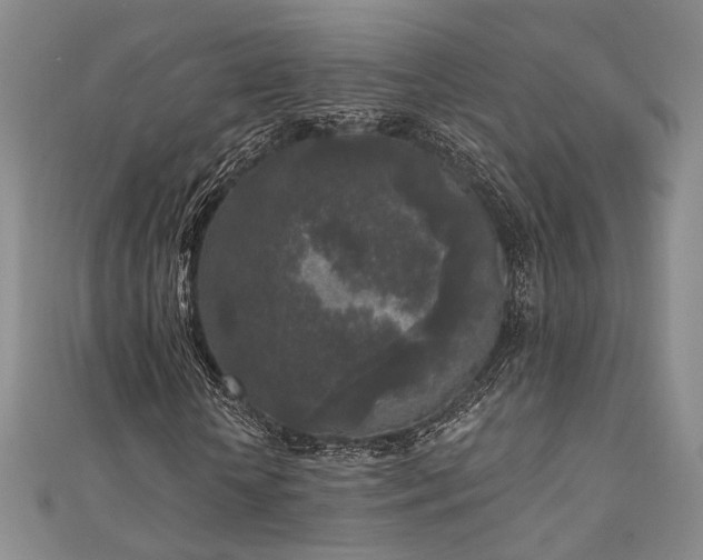 X0000111000818200906191549