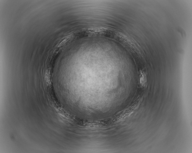 X0000111000819200906191549