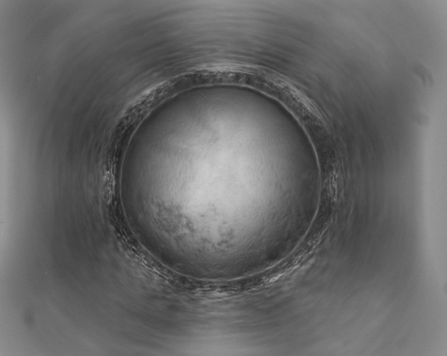 X0000111000821200906191549