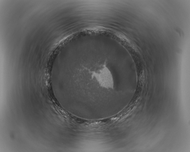 X0000111000822200906191549