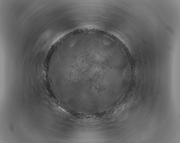 X0000111000823200906191549