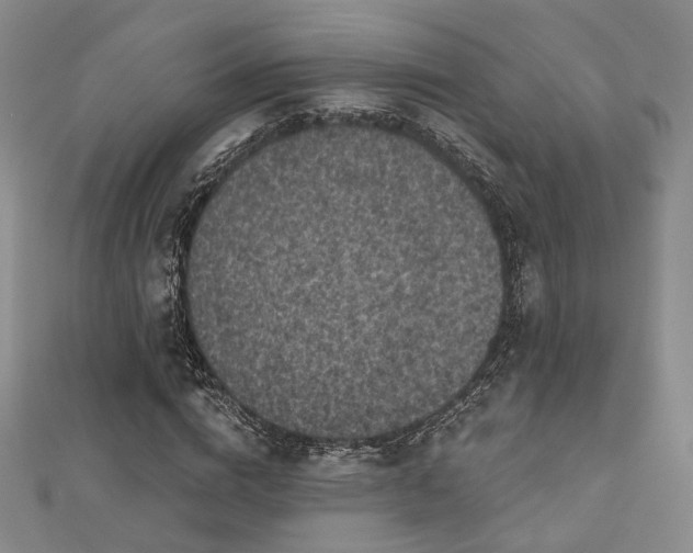 X0000111000824200906191549