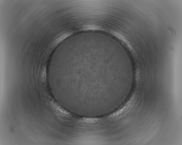 X0000111000825200906191549