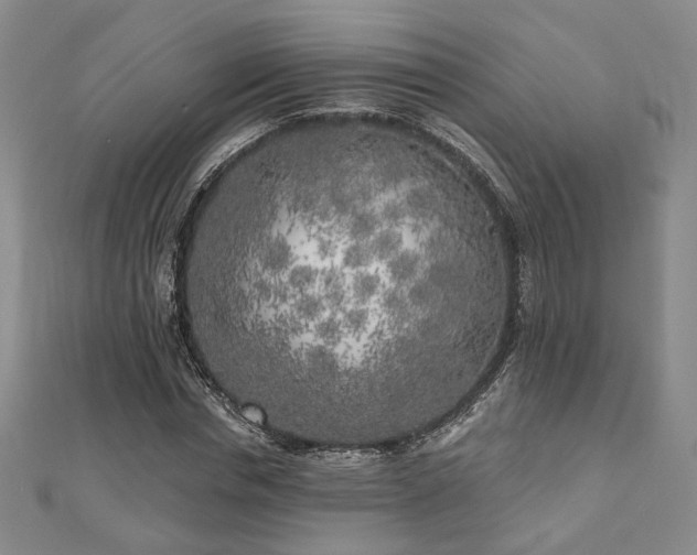 X0000111000826200906191549