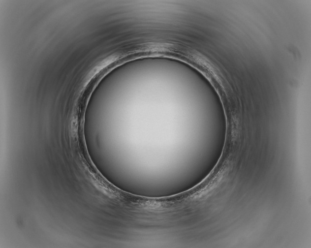 X0000111000827200906191549