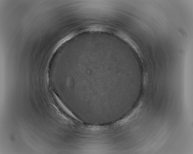 X0000111000829200906191549