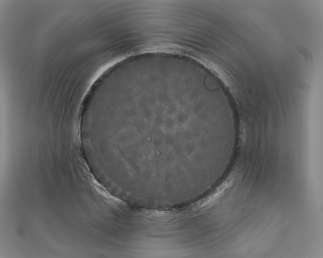 X0000111000830200906191549