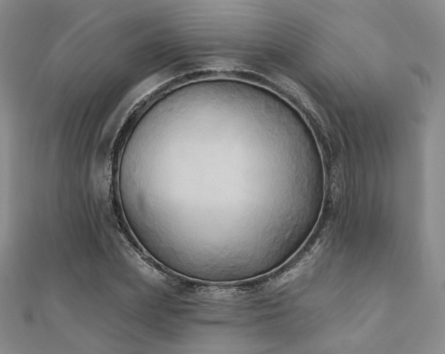 X0000111000831200906191549
