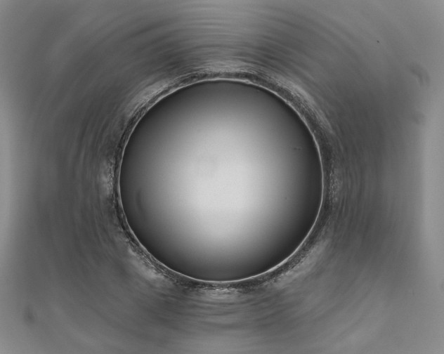 X0000111000833200906191549