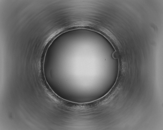X0000111000834200906191549