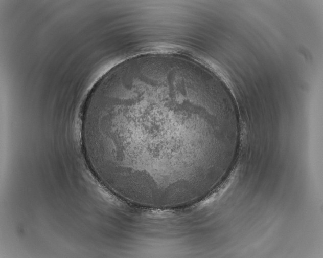 X0000111000835200906191549