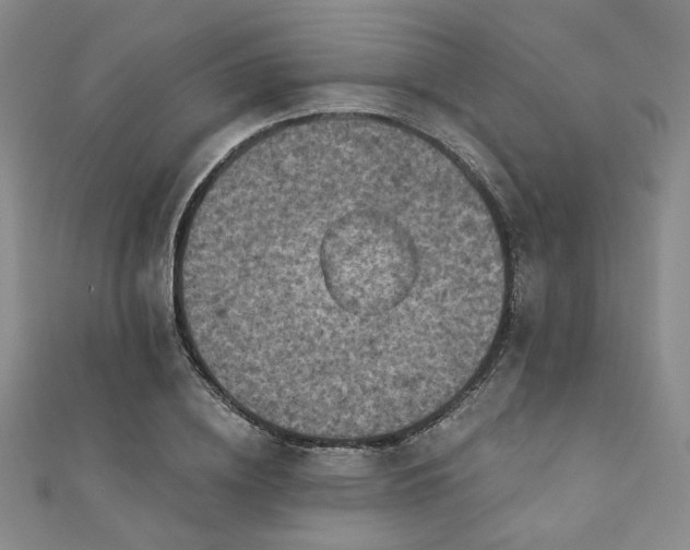 X0000111000836200906191549
