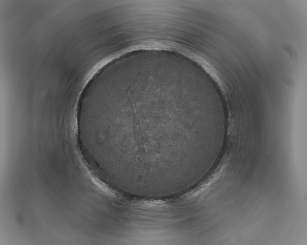 X0000111000837200906191549