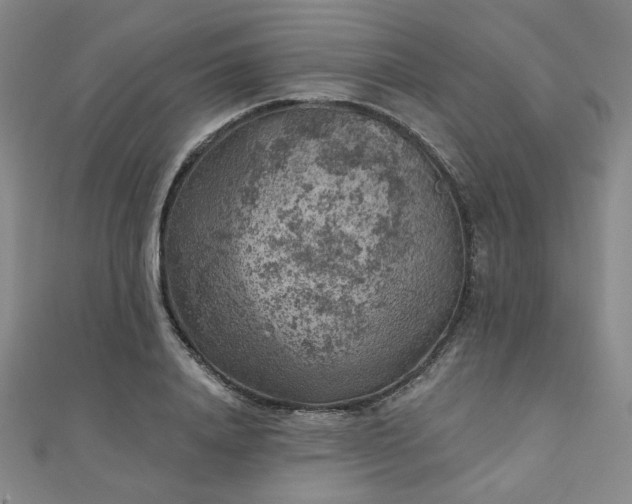 X0000111000840200906191549