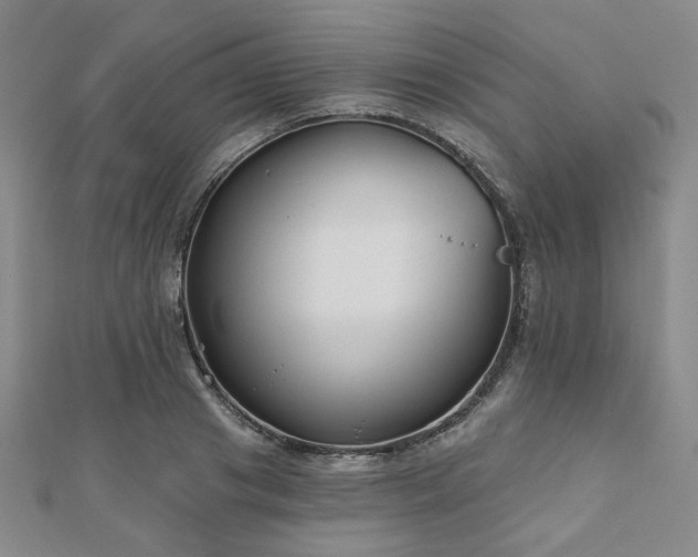 X0000111000841200906191549