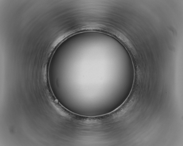 X0000111000842200906191549