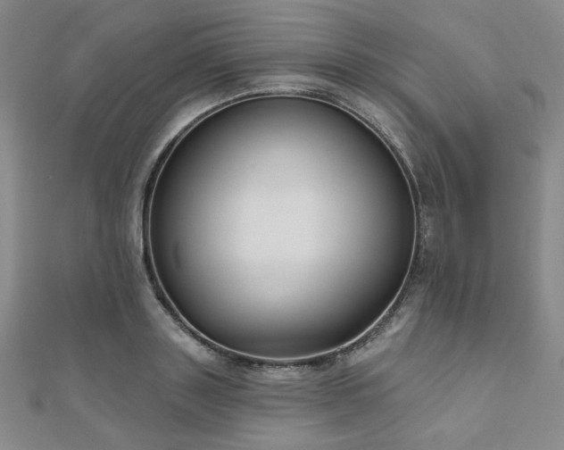 X0000111000843200906191549