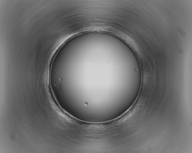 X0000111000844200906191549