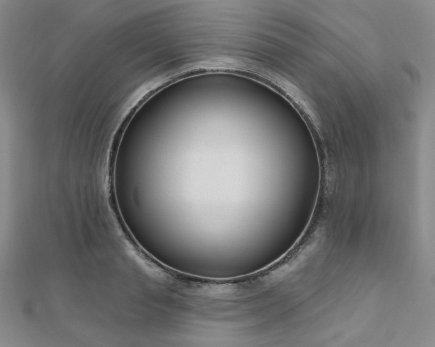 X0000111000845200906191549