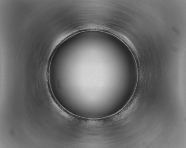 X0000111000847200906191549