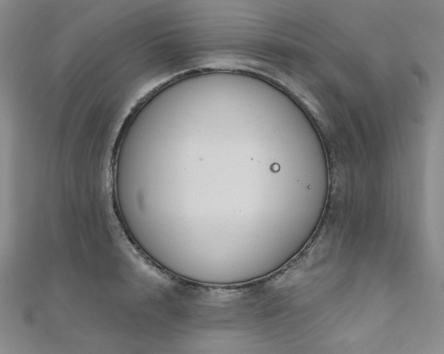 X0000111000848200906191549