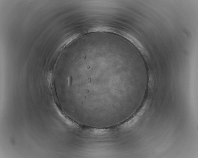 X0000111000849200906191549