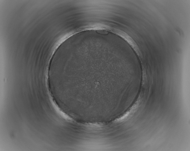 X0000111000850200906191549
