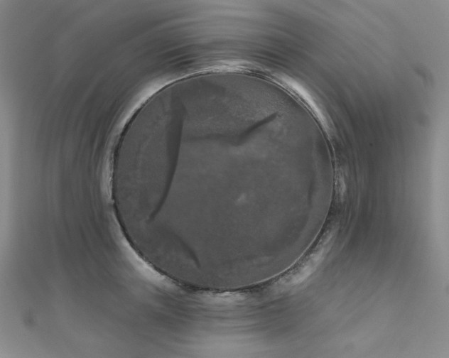 X0000111000851200906191549
