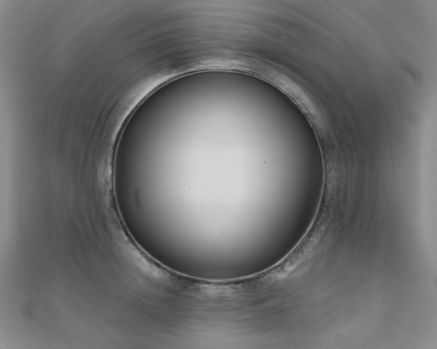 X0000111000852200906191549