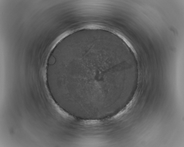 X0000111000853200906191549