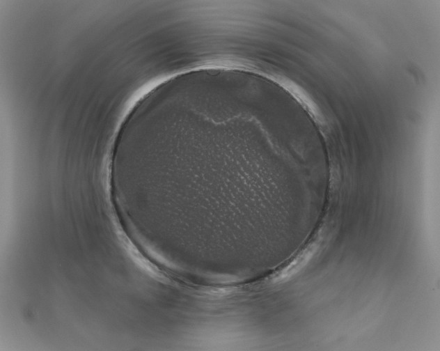 X0000111000854200906191549