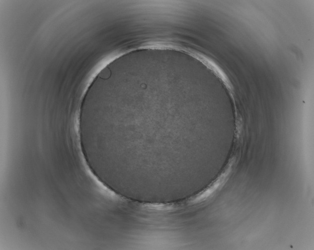 X0000111000855200906191549
