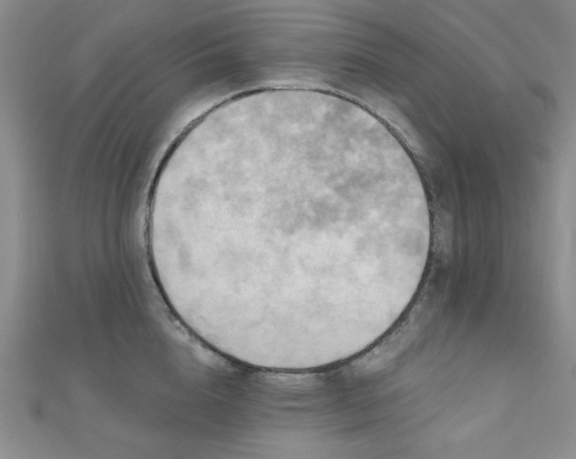 X0000111000856200906191549