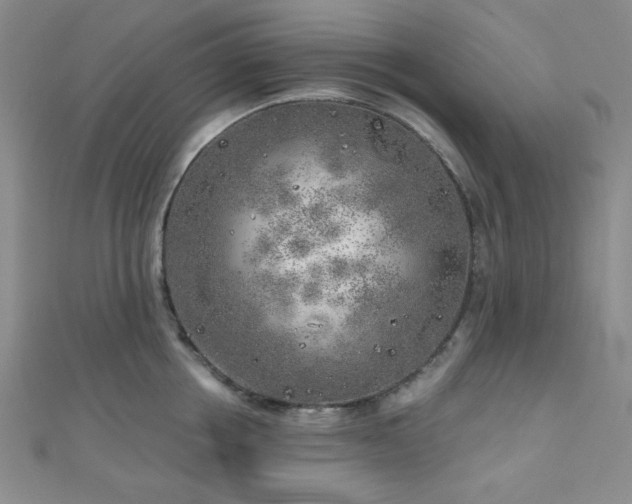 X0000111000858200906191549