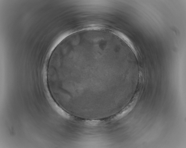 X0000111000859200906191549