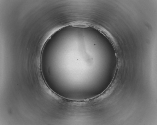 X0000111000860200906191549