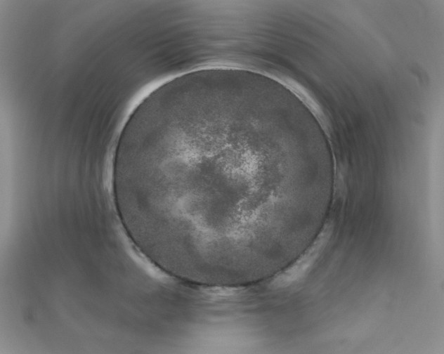X0000111000862200906191549