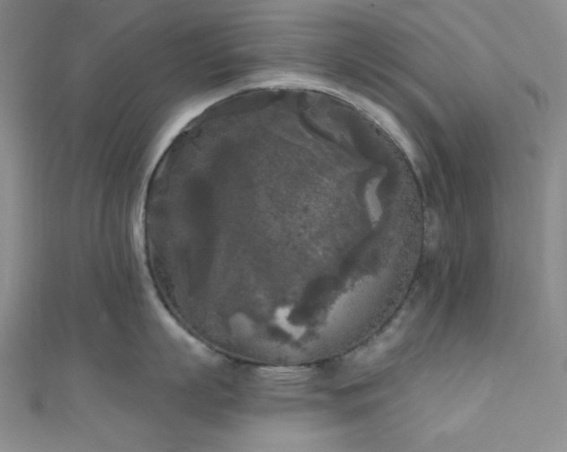 X0000111000863200906191549