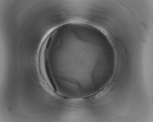X0000111000864200906191549