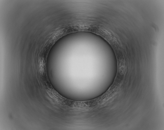 X0000111000866200906191549