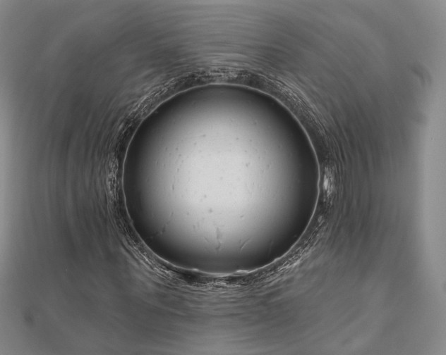X0000111000867200906191549