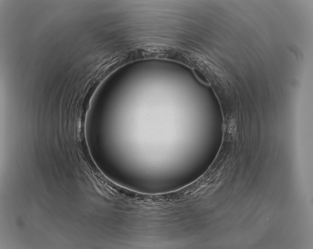 X0000111000868200906191549