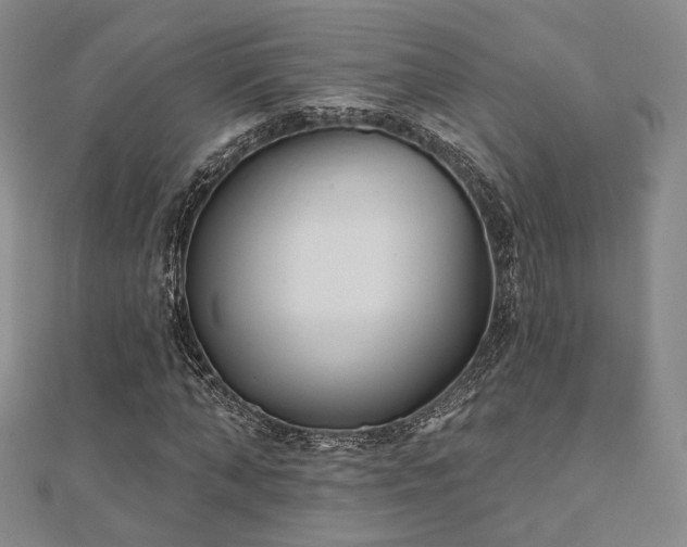 X0000111000870200906191549