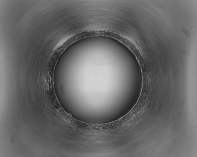 X0000111000871200906191549