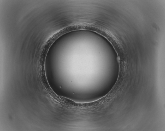 X0000111000872200906191549