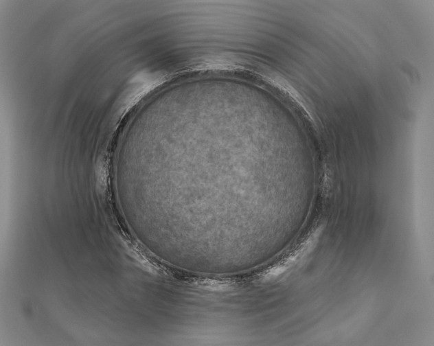 X0000111000874200906191549